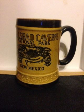 Vintage Carlsbad Caverns National Park Ceramic Mug Coffee