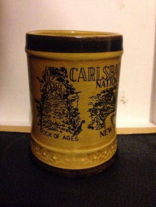 Vintage Carlsbad Caverns National Park Ceramic Mug Coffee 2