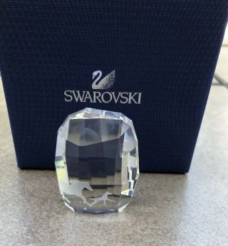 Swarovski Crystal 2014 Scs Membership Esperanza Horse Paperweight W/ Box