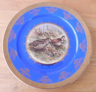 St Bavaria Germany Gold/blue Decorative 10 - 1/2 " Plate With Birds