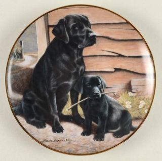 Like Father,  Like Son Labradors Nigel Hemming By Franklin No Chips