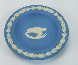 Wedgwood Jasperware Blue Turtle Cayman Islands Mini Plate Made In England