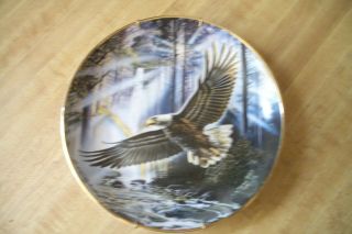 The Promise Of Freedom Plate By Ronald Van Ruyckevelt Franklin Bald Eagle
