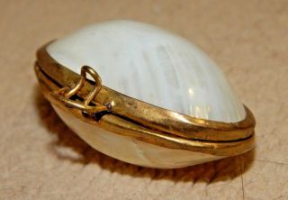 Vintage Item - White Sea Shell Trinket Box - Snap Style Closure