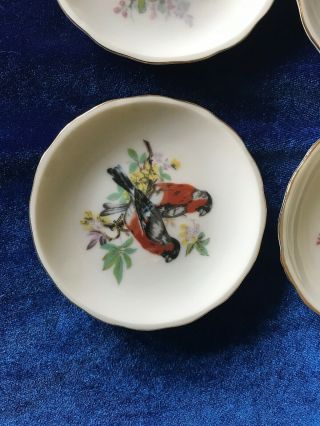Set Of 4 Vintage Porcelain Bird Plates Small 3” Made In Japan 3