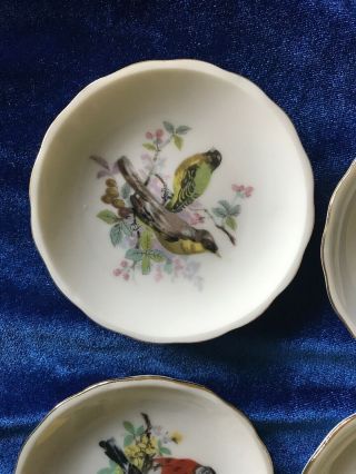 Set Of 4 Vintage Porcelain Bird Plates Small 3” Made In Japan 4