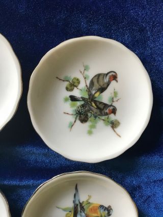 Set Of 4 Vintage Porcelain Bird Plates Small 3” Made In Japan 5