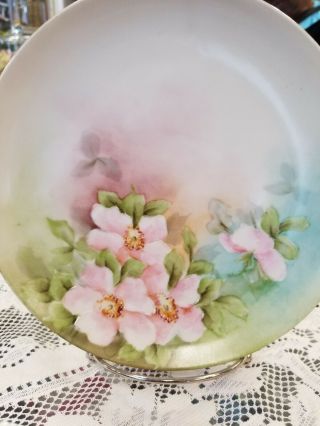 Vintage Hand Painted Apple Blossom Floral Plate.  A Beauty