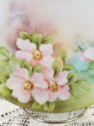 Vintage Hand Painted Apple Blossom Floral Plate.  a Beauty 2