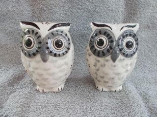 Owl Salt & Pepper Shakers White Gray Black 3 1/4 "