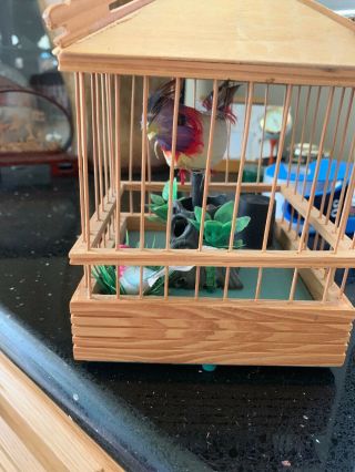 Vintage Wood Bird Cage With Singing Chipping Bird