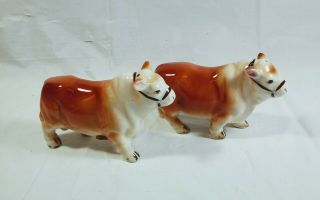 Vintage Relco Marked Handpainted Hereford Cows Salt And Pepper Shakers