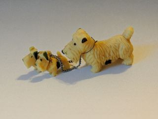 Vintage Celluloid Dog Figurines - Scotties/westies Plus 2 Puppies Attached