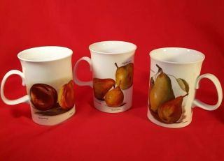 Set Of 3 Mugs Dunoon 4 " Tall Orchard Fruits Made In England