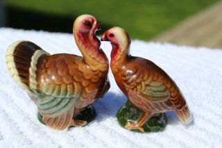 Vintage Gorgeous Realistic Turkeys Salt And Pepper Shakers - Germany