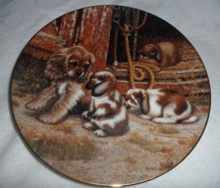 Mistaken Identity Farmyard Friends Collector Plate Jim Lamb Dog Puppy Spaniel