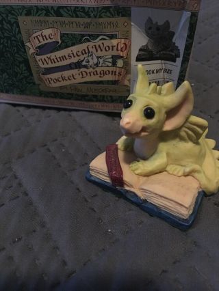 Whimsical World Of Pocket Dragons " A Book My Size "