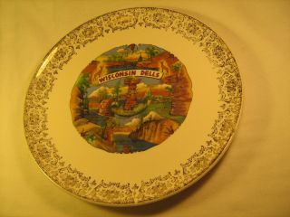 9 " Porcelain Souvenir Collector Plate Wisconsin Dells Hawk 
