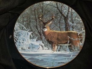 Danbury Porcelain Collector Plate Winter Whitetail Deer By Bruce Miller (b)