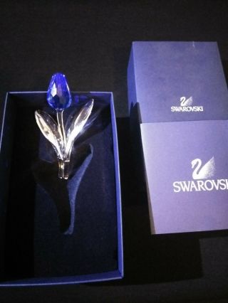 Swarovski Crystal Blue Tulip MIB 2