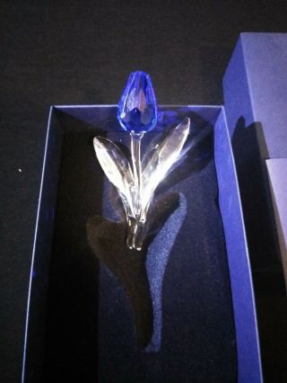 Swarovski Crystal Blue Tulip MIB 4
