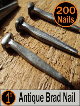 (200) 1 " - Antique Brad Nail - Vintage - Rustic 1 " Small Brad Nails