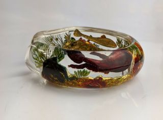 1950 ' s Dunhill Aquarium Perspex Bangle - Companion to Lighter Carved Lucite 3