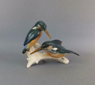 Vintage Porcelain Volksted Dresden Figurine Of A Kingfisher By Karl Ens