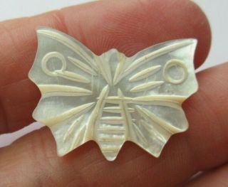 Most Antique Vtg Victorian Carved Mop Shell Button Butterfly 1 " (d)