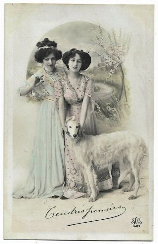 Two Edwardian Beauties W/ Borzoi Greyhound Dog Vintage 1905 Rppc