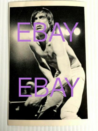 Iggy Pop 1980 Promo Postcard Vintage