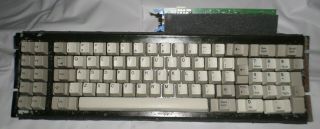 VINTAGE Clicker XT IBM MODEL - F - 4584656 F10 PC Keyboard USA 3