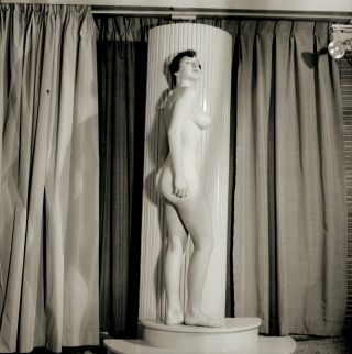 Vintage Pinup Negative 1950s Sexy Brunette Classic Studio Pose (nudes)