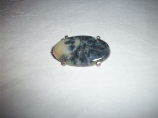 Vintage Sterling Polished Fossilized Stone Pin