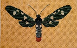 Vintage Needlepoint Finished Dragonfly Butterfly Canvas 7.  5 " By 11.  5 " Green