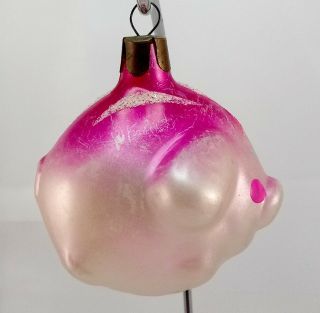 Vintage Chubby Little Pig Christmas Glass Ornament Decoration Figure 3