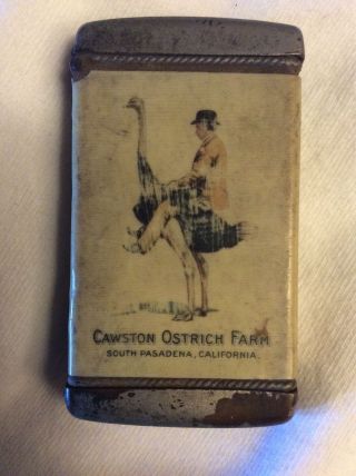 Very Rare Cawston Ostrich Farm Celluloid Match Safe Box - 1900