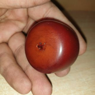 7 Old Rare Vintage Large Cherry Amber Faturan Butterscotch Bakelite Bead,  30 G