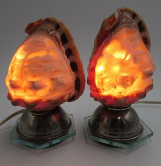 Antique Set Of 2 Italian Hand Carved Conch Sea Shell Cameo Lamp Shade Lights