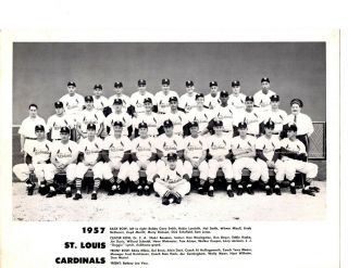 1957 St.  Louis Cardinals 8x10 Team Photo Musial Baseball Missouri Hof