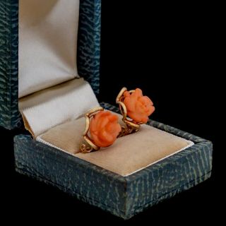 Antique Vintage Deco Retro 14k Yellow Gold Carved Salmon Coral Floral Earrings
