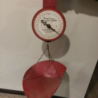 Vintage American Family Scale Co.  Hanging Produce Scale 60 Lb.