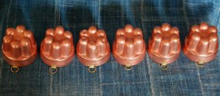 SET of 6 ANTIQUE FRENCH VINTAGE COPPER MOLDS TIN LINED 2