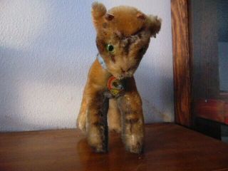 Vintage Steiff,  Goat,  Zicky,  5 1/2 " Tall,  6 " Long W/button,  1959 - 1967 -