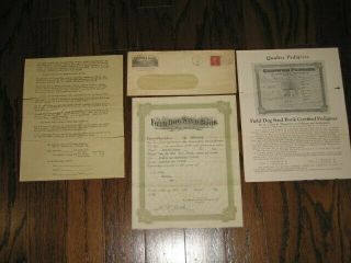 Vintage 1928 Field Dog Stud Book Registration Certificate For English Setter