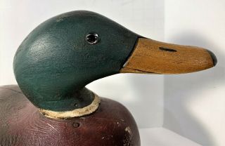 Antique Vintage Mallard Duck Decoy W/ Glass Eyes Estate Fresh C 1895