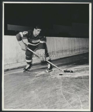 Larry Thibeault - Detroit Red Wings Press Photo 1944 Vintage Nhl Hockey