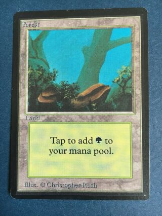 1x Beta - Forest A - Mtg Magic The Gathering Vintage Old