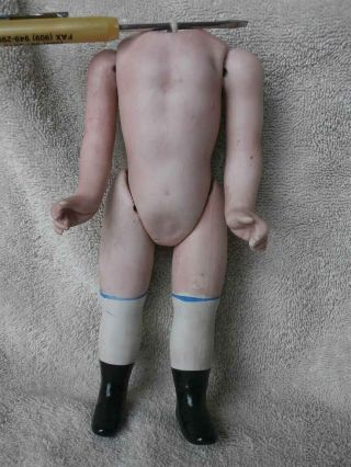 Rare Large 8 " Antique German Or French All Bisque Doll Body