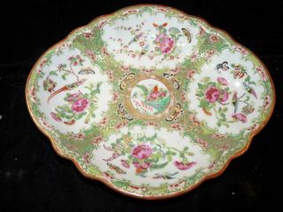 19th C Chinese Export Porcelain Famille Rose Birds Butterflies 10.  25 " Oval Dish